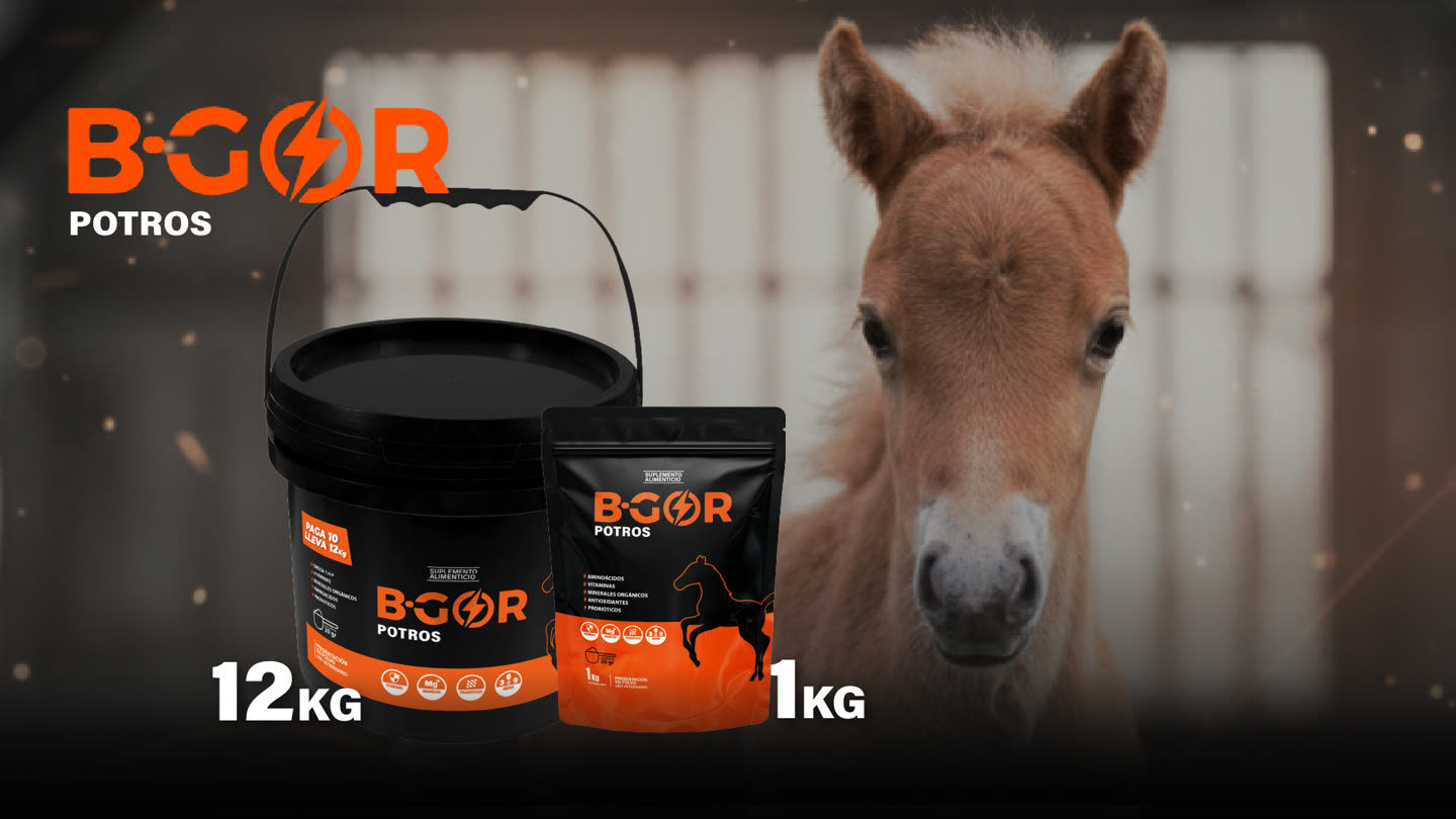 Hero B-GOR Potros